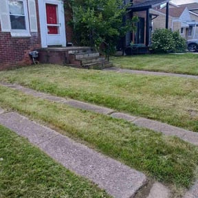 Long Grass Cleanup by Tru reviewed on August 17, 2025