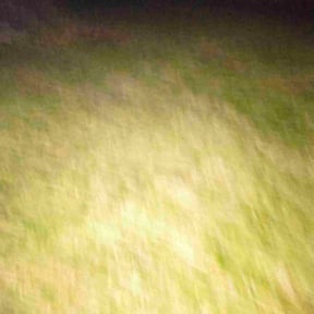 Leaf Removal by J&amp;H Lawn Care reviewed on November 26, 2025