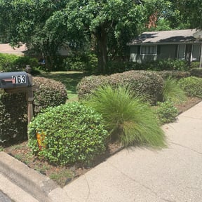 Bush Trimming by Good Guys Lawn and Fence reviewed on April 6, 2024