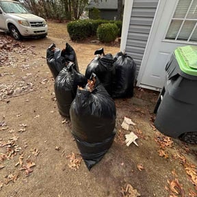 Leaf Removal by Towery's Lawn Care reviewed on July 25, 2026