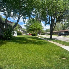 yard service by Los Sebas landscape reviewed on June 11, 2025