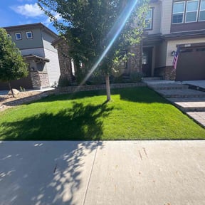 landscape maintenance by Nates Lawn Service reviewed on November 22, 2025