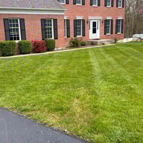 residential landscaping by UNCLECURTS LLC reviewed on August 19, 2025