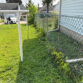 Bush Trimming by RhodenColes Investments reviewed on May 3, 2022