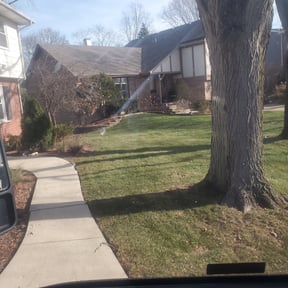 Leaf Removal by Yard Dr. LLC reviewed on September 12, 2025