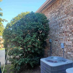 Bush Trimming by Perea&#039;s Lawn Care reviewed on October 23, 2025