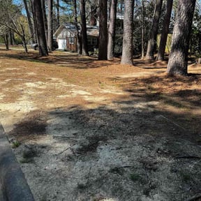 Leaf Removal by Carolina Customs LLC reviewed on September 10, 2025