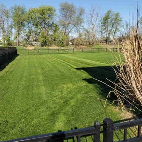 grass maintenance by JC Excavation & Hauling reviewed on April 26, 2024