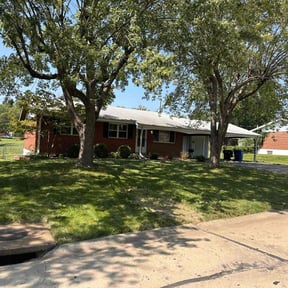 grass cutting by King of Lawn Care LLC reviewed on March 20, 2024