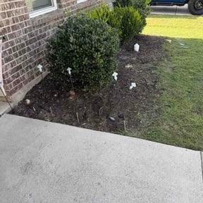 Flower Bed Weeding by Burris Brothers Lawn Care reviewed on August 5, 2026