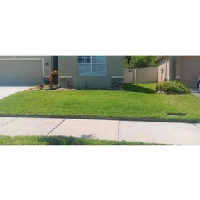 yard maintenance by Cluchey's  Lawn Services,  Operator reviewed on January 8, 2026