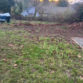 Leaf Removal by The Lawn Barber reviewed on August 24, 2026