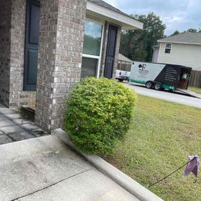 Bush Trimming by YardMan Landscape  reviewed on November 22, 2025