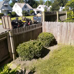Bush Trimming by Vision lawn care and maintenance LLC reviewed on August 18, 2025