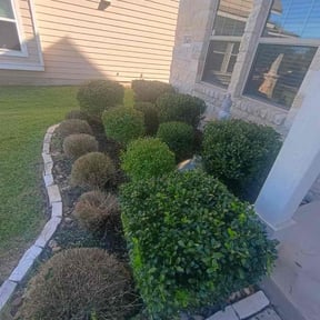 Bush Trimming by HLC Management reviewed on August 15, 2025
