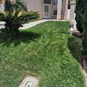 gardening service by CJ's Home &amp; Garden reviewed on December 7, 2025