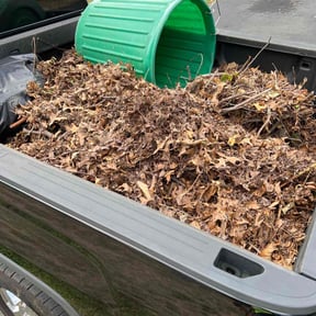 Leaf Removal by Qui property management reviewed on September 8, 2025