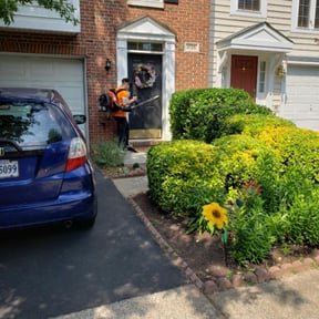 Bush Trimming by J&amp;N landscaping reviewed on June 18, 2025