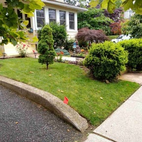 yard work by Aplus lawncare and tree trim reviewed on August 18, 2025