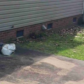 Bush Trimming by Clarks lawn care  reviewed on August 18, 2025