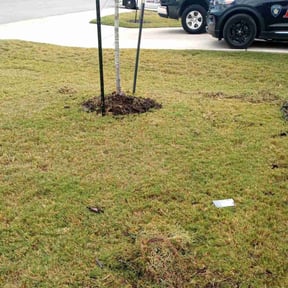 Flower Bed Weeding by Richcuts4 reviewed on October 19, 2025