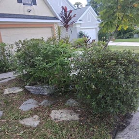 Bush Trimming by Hernandez Family Lawn reviewed on December 3, 2025