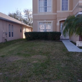 Bush Trimming by Davis Designs LLC/ Lawn Care Division reviewed on August 16, 2025