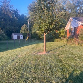 turf maintenance by V&E Landscaping and Lawn Care.... reviewed on October 31, 2023