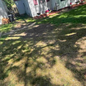 Leaf Removal by Burgess Family Landscaping reviewed on August 2, 2026
