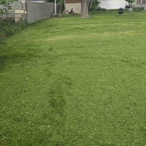 turf maintenance by Anytime-mow reviewed on April 3, 2024