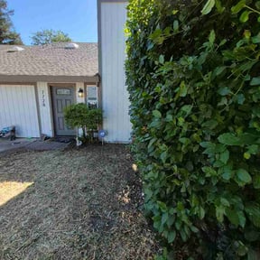 Bush Trimming by Year Round Lanscaping reviewed on August 5, 2026