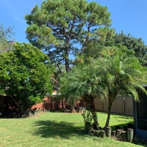Bush Trimming by Lopez lawn care reviewed on August 19, 2025
