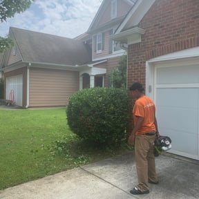 Bush Trimming by Gios Multitask Lawn & Landscaping Services LLC reviewed on August 14, 2025
