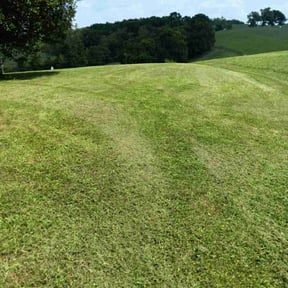 lawn service by Just Keep Mowing reviewed on February 11, 2024