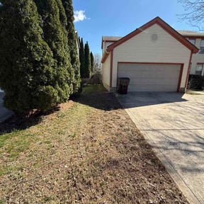 Leaf Removal by Salt City Snow &amp; Lawn, LLC. reviewed on April 24, 2026