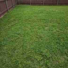 grass cutting by Island Life Business Ventures, LLC reviewed on May 2, 2024