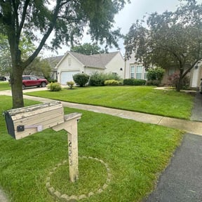 turf maintenance by B.mendoza lanscaping reviewed on July 29, 2025