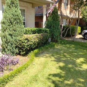 Bush Trimming by chameleon lawn care reviewed on August 21, 2025