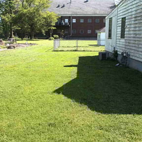 grass maintenance by Sky Lawns reviewed on May 16, 2024