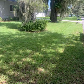 landscape maintenance by Sarr’s Lawn and Home Care reviewed on November 21, 2025