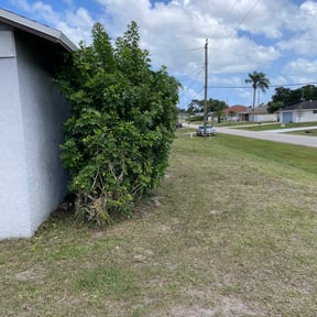 Bush Trimming by N&N lawn care and snow removal reviewed on August 15, 2025
