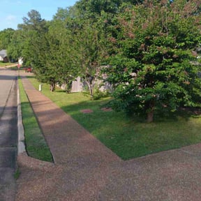 yard care by Lawn Care reviewed on August 15, 2025