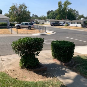 Bush Trimming by FPS reviewed on August 17, 2025