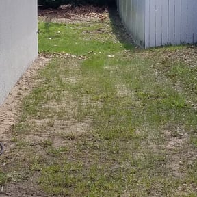 Leaf Removal by Premier Xpress LLC reviewed on September 23, 2025