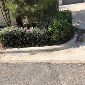 Bush Trimming by TwinEagleLandscaping reviewed on August 15, 2025