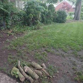 Leaf Removal by Coonradts Lawncare reviewed on June 14, 2026