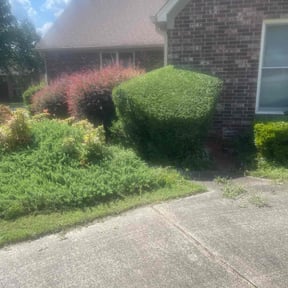 Bush Trimming by 3GUYSLAWNCARE reviewed on August 15, 2025