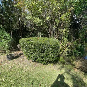 turf maintenance by Lawn Lovers Landscaping reviewed on August 9, 2025