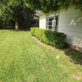 Bush Trimming by Aero Lawns, LLC. reviewed on November 9, 2017
