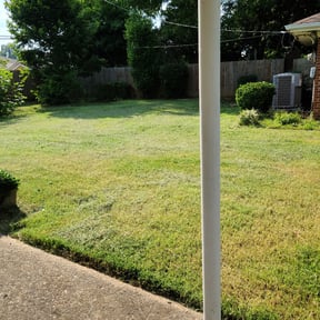 Bush Trimming by Baldwin Premium Lawn Care reviewed on November 18, 2025